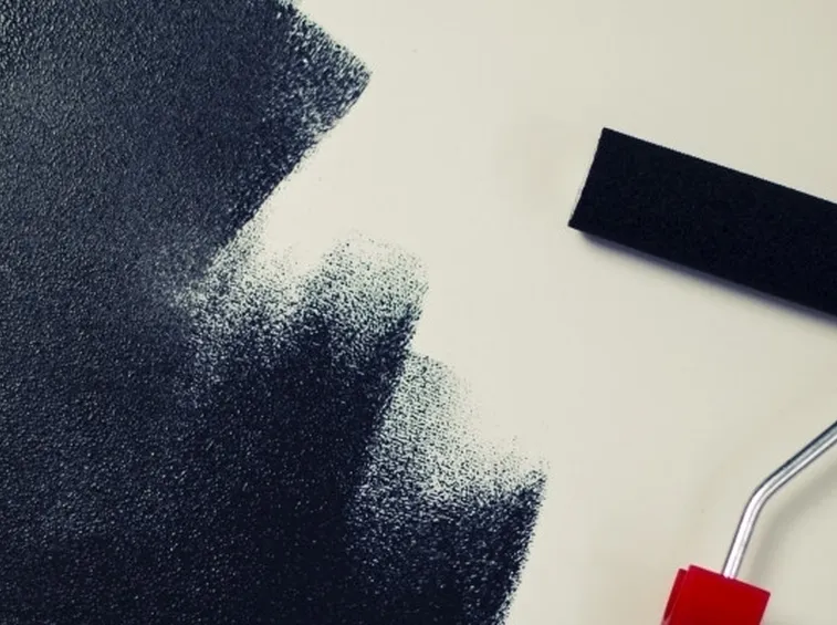 Rullo per pittura