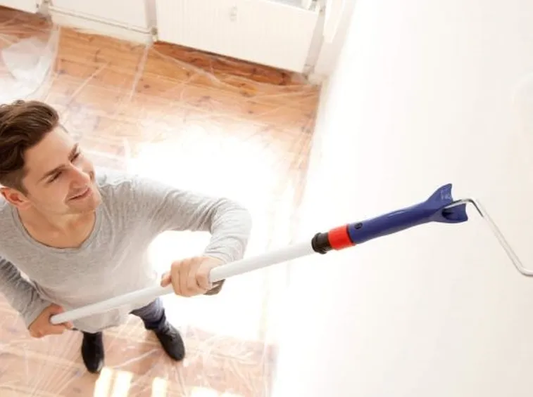 Rullo pittura