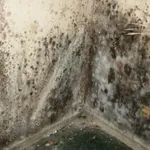 Perché verniciare con il freddo e l'umidità dà risultati deludenti