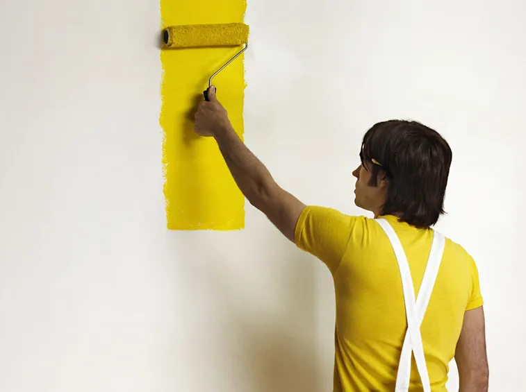 pittura a rullo
