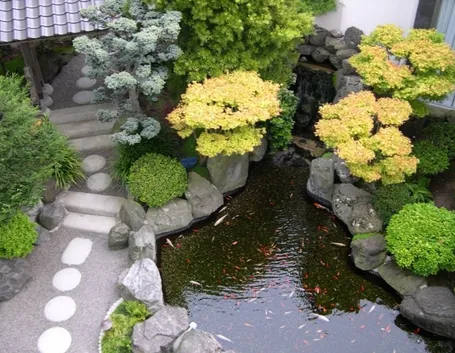 giardino con pietre