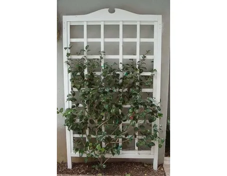 Grigliati per terrazzi