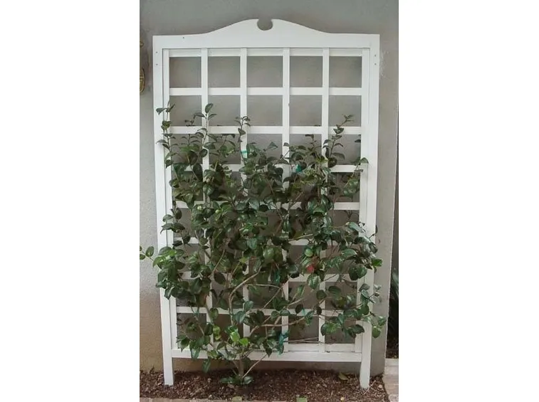 Grigliati per terrazzi