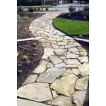 Percorsi nel giardino