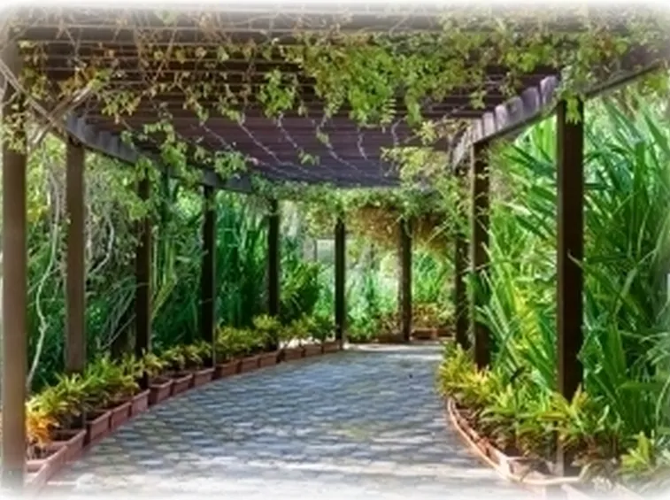 pergola tunnel