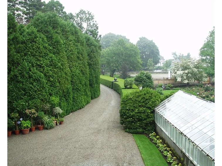 vialetto per il giardino