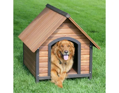 cuccia per cani