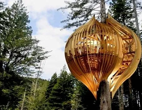 casa sull'albero