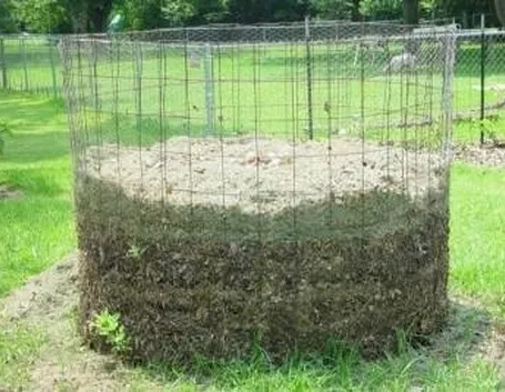 compost 