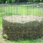 compost 