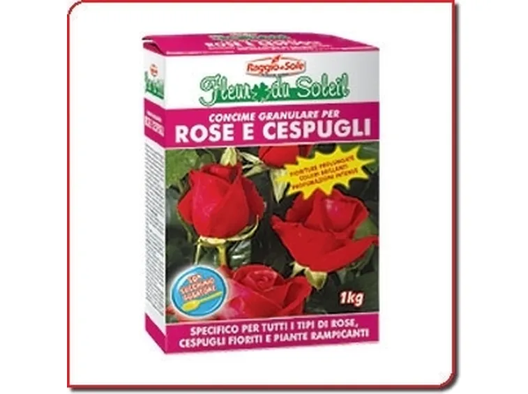 concimare rose