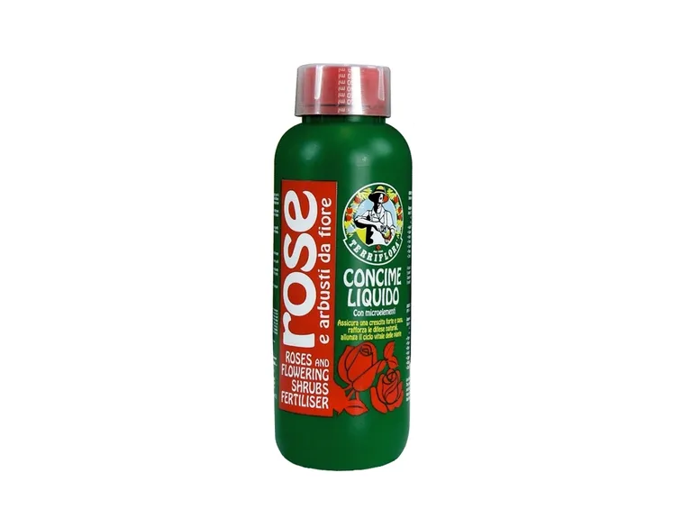 quando concimare rose