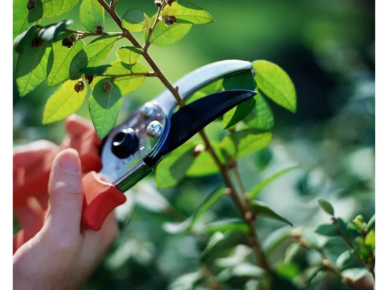 Lavori in giardino di aprile