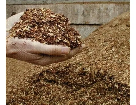 pacciamatura