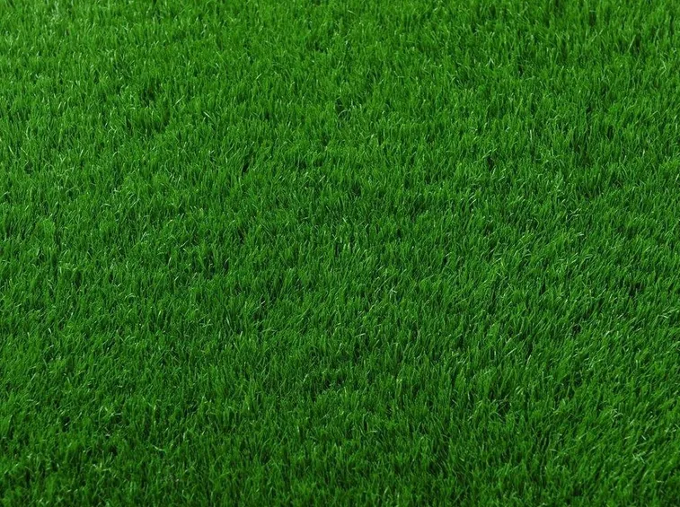 Pro e contro