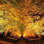 Valorizzare il giardino