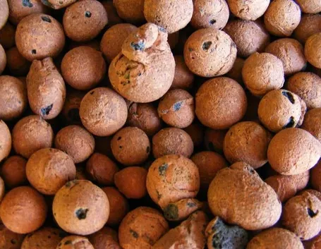 esempio di argilla espansa