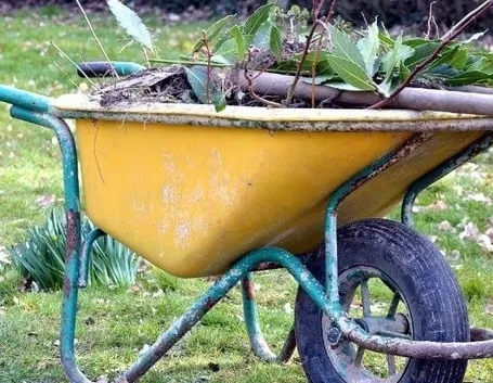 Carriola per il giardinaggio
