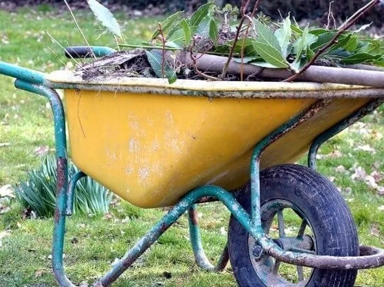 Carriola per il giardinaggio