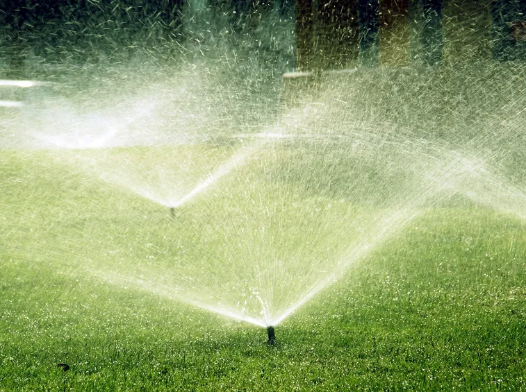 Irrigazione di un giardino