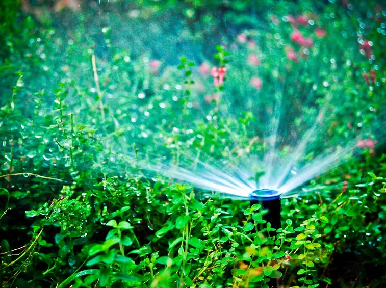 Modello di irrigatore a battente