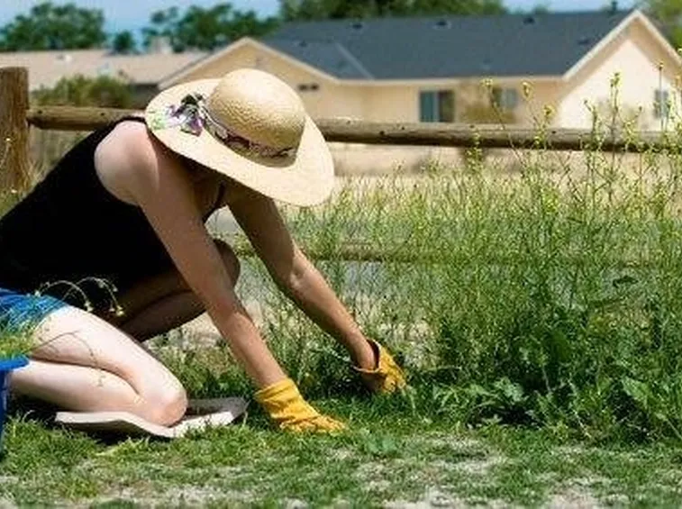 prendersi cura del giardino