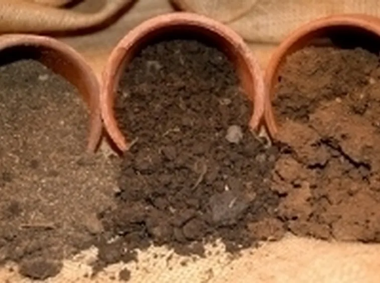 terricci