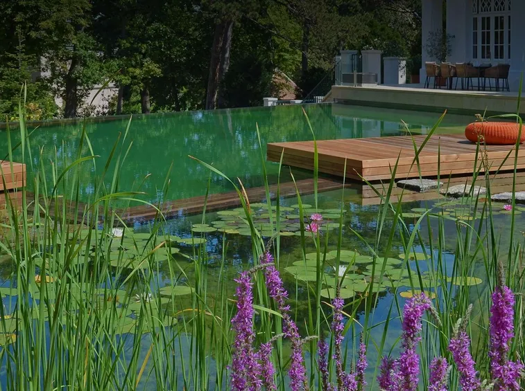 esempio di piscina naturale