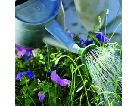 giardinaggio