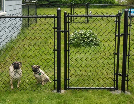 recinto per cani