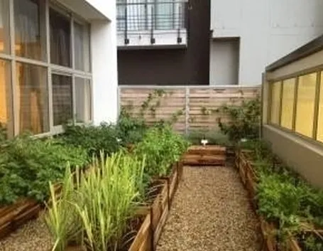 orto o giardino sul terrazzo