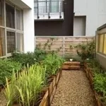 orto o giardino sul terrazzo