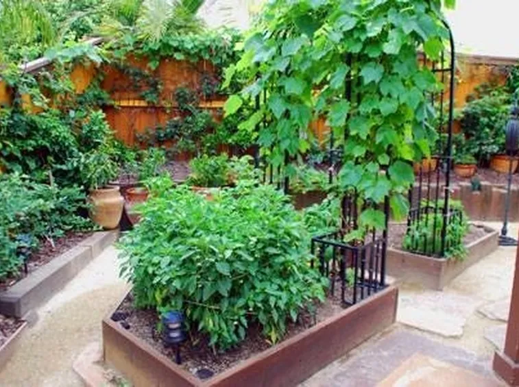 giardino in terrazzo