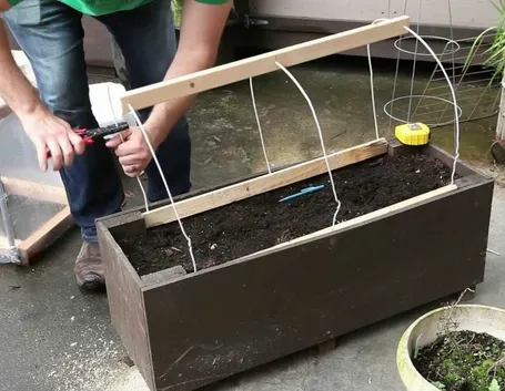 creazione mini serra fai da te