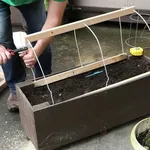 creazione mini serra fai da te