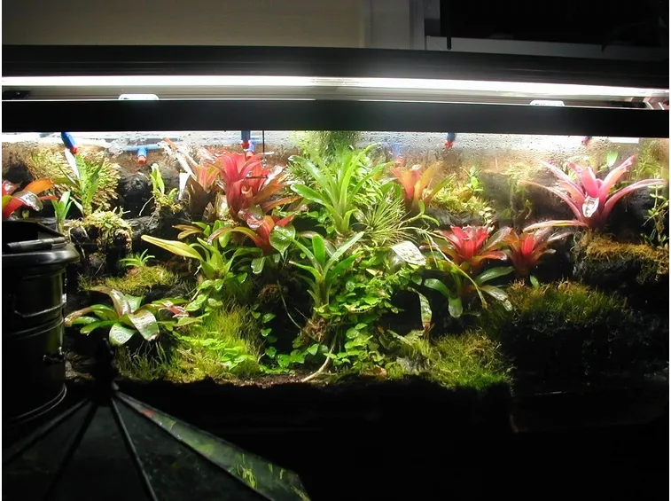 Terrari
