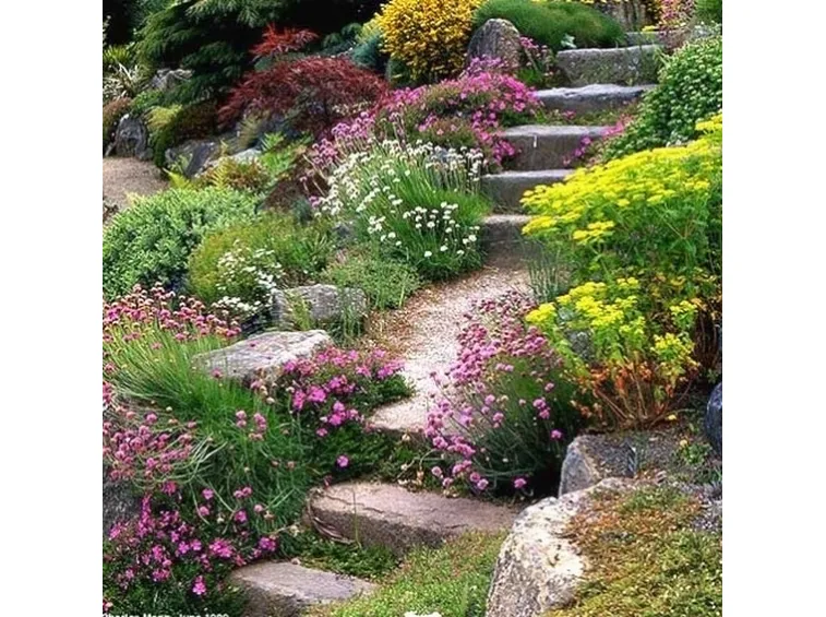 giardino mediterraneo 