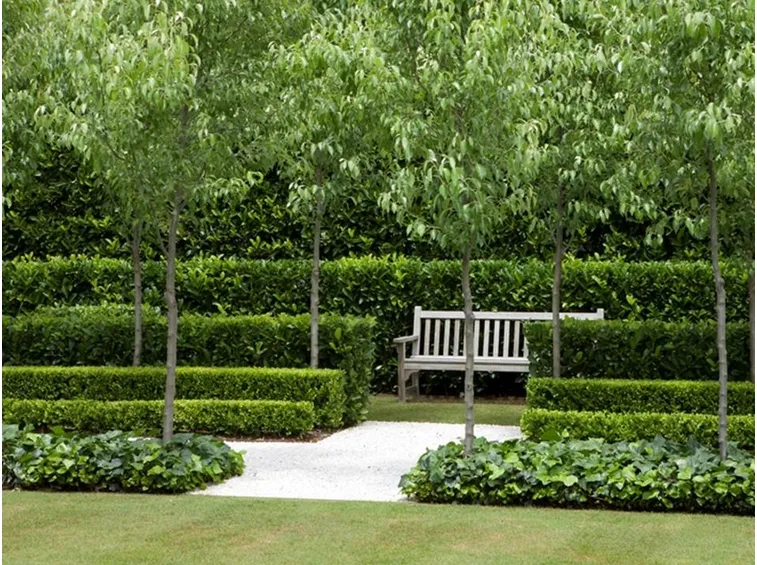casa con giardino alla francese