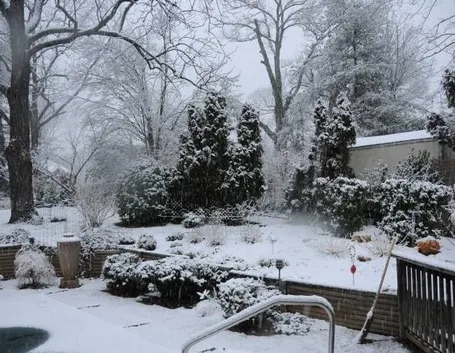 giardino invernale