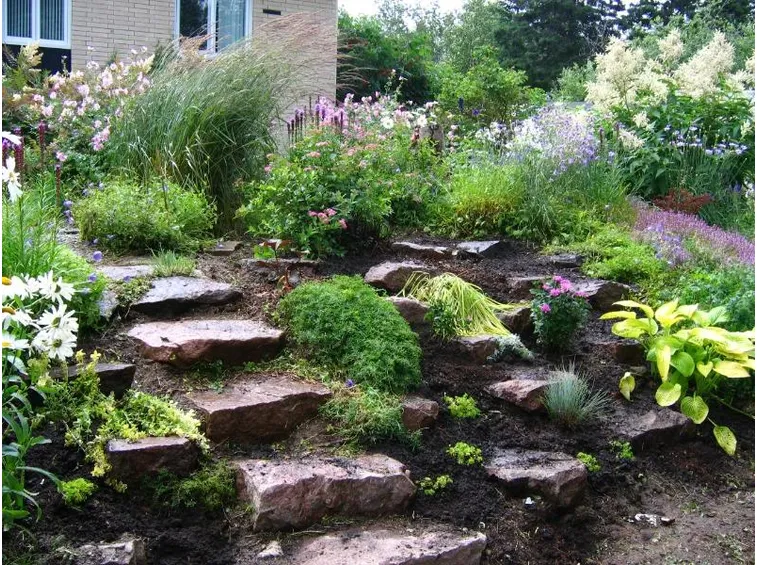 esempio di giardino roccioso 