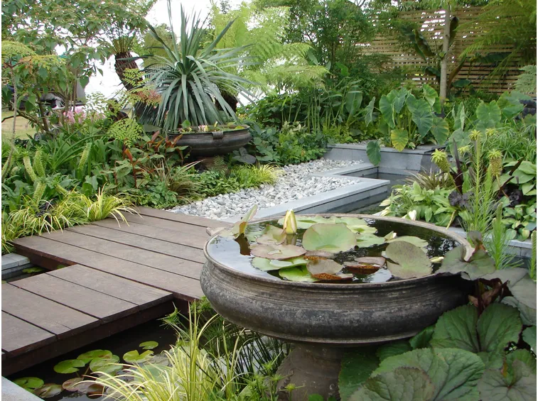 giardino asiatico