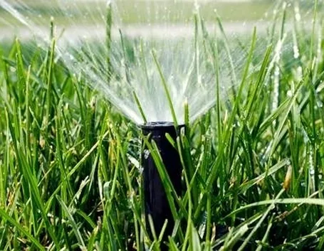 irrigazione automatica