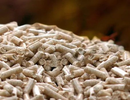 pellet