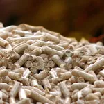 pellet