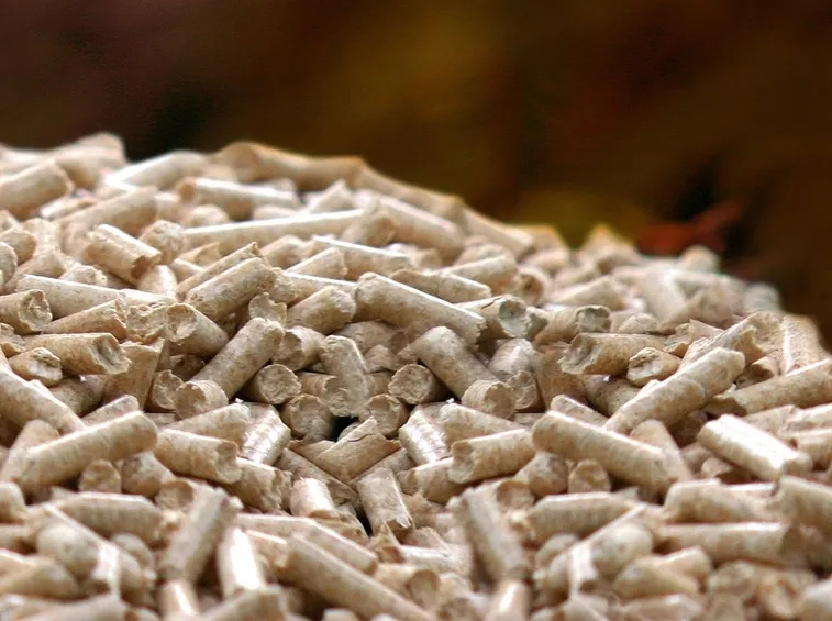 pellet