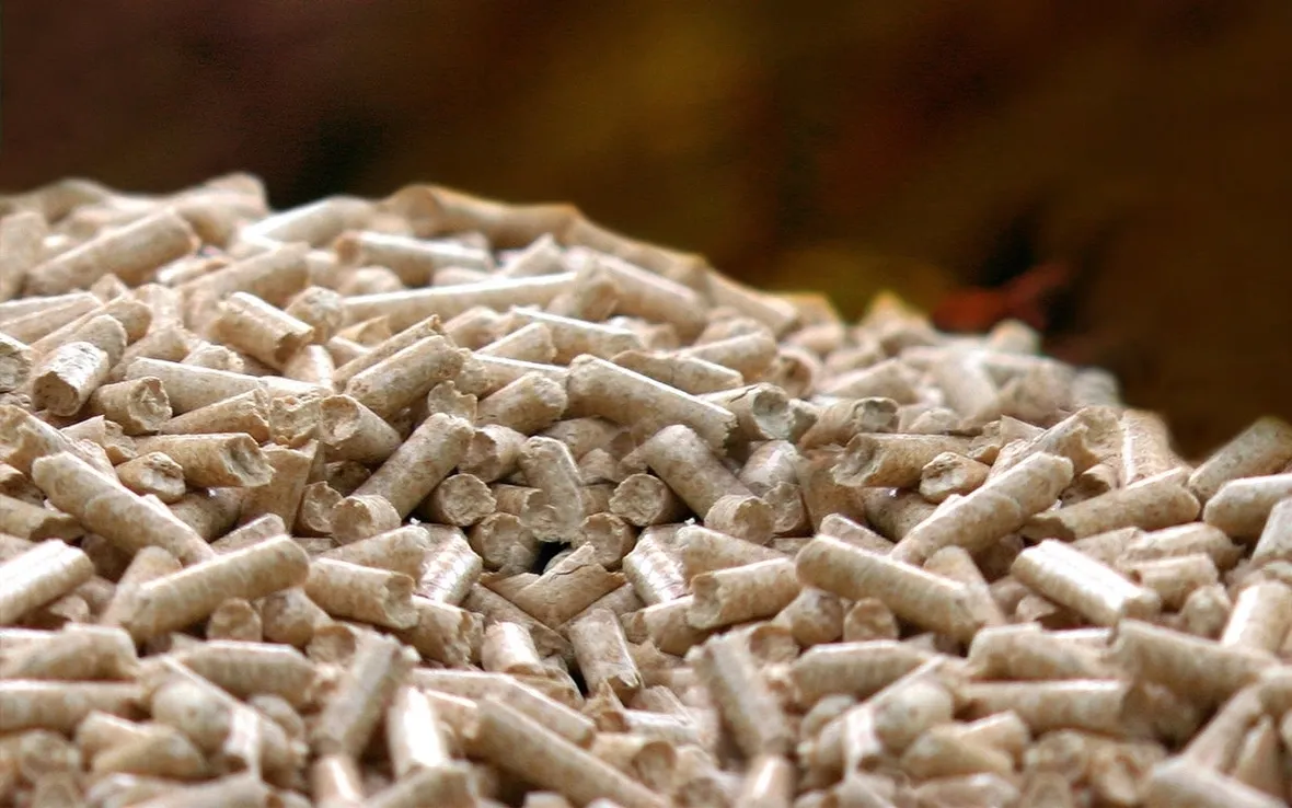 pellet