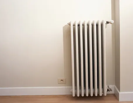 Compatto termoconvettore a gas