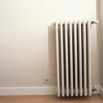 Compatto termoconvettore a gas