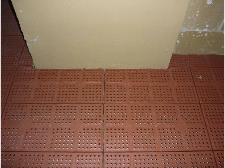 Pregi e difetti