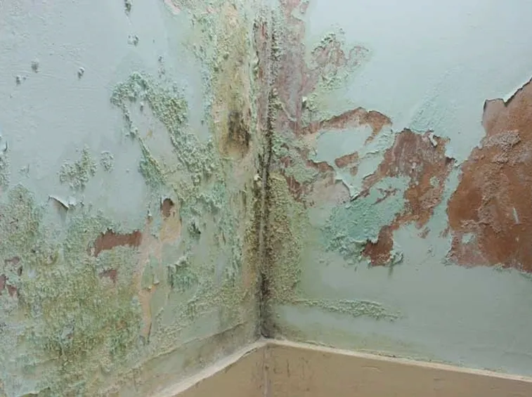 muro rovinato